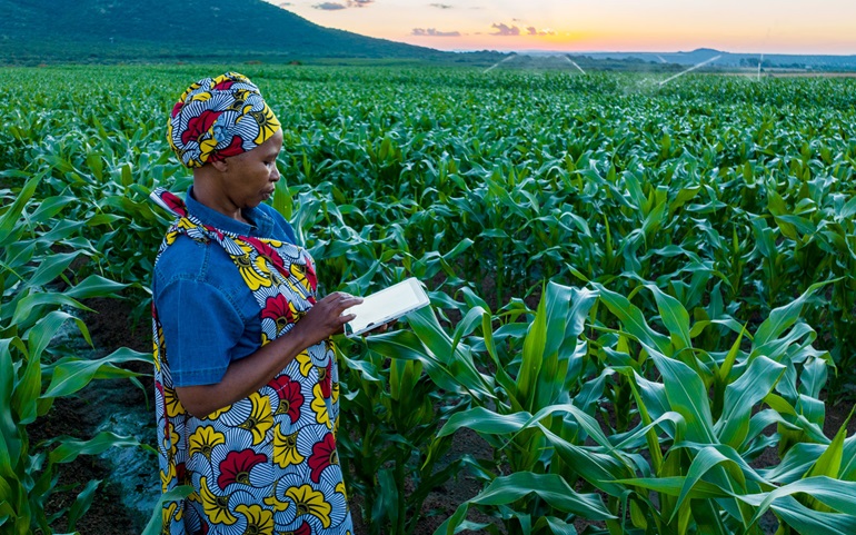 The Strategic Investment Fund funds agricultural development in Africa and Asia.